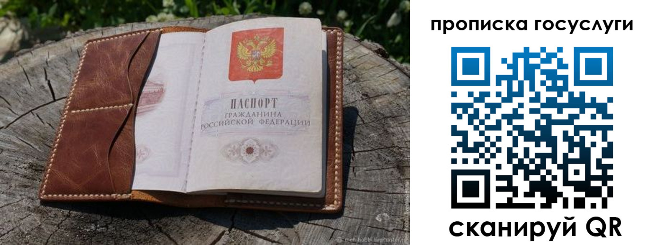 прописка для школы в Тверской области